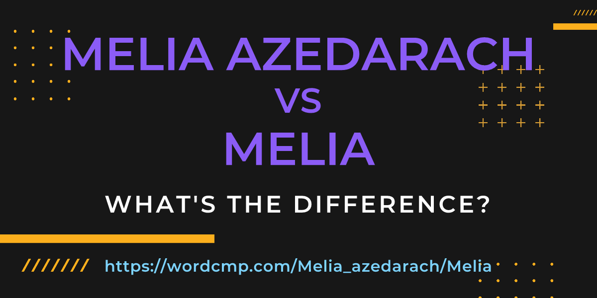 Difference between Melia azedarach and Melia