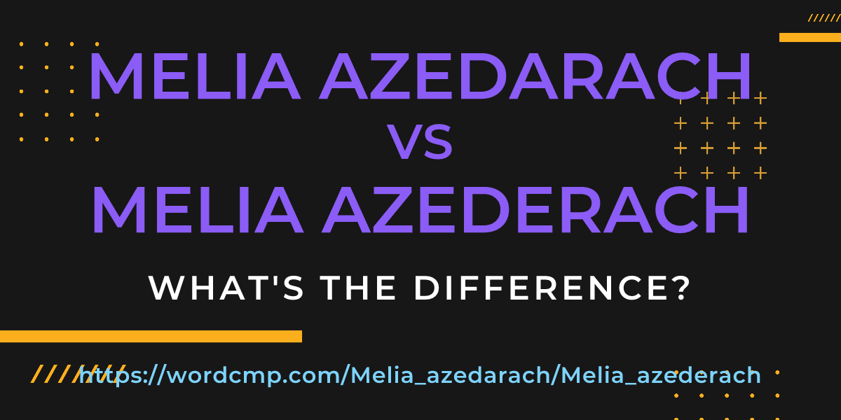 Difference between Melia azedarach and Melia azederach