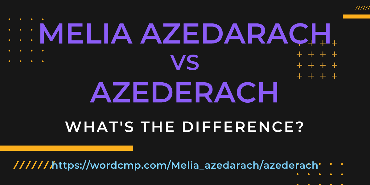Difference between Melia azedarach and azederach