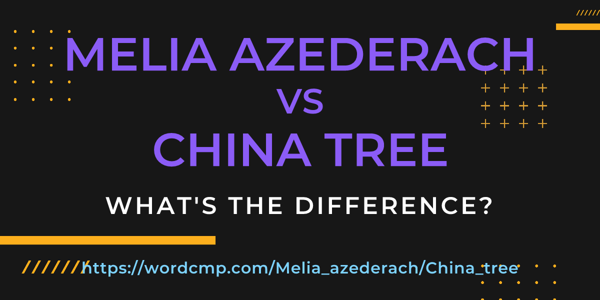 Difference between Melia azederach and China tree