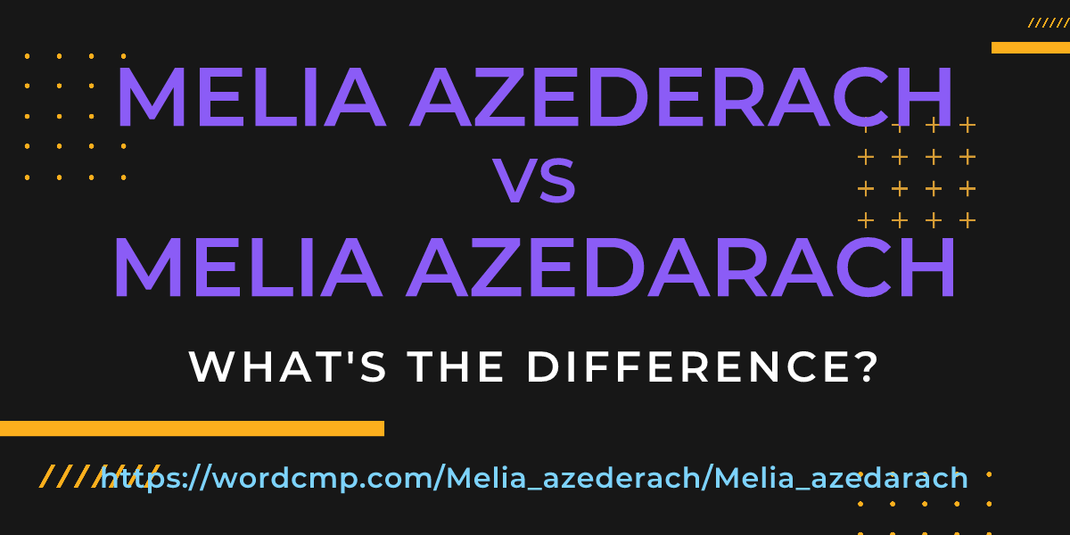 Difference between Melia azederach and Melia azedarach