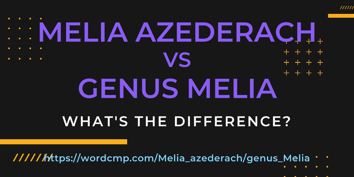 Difference between Melia azederach and genus Melia