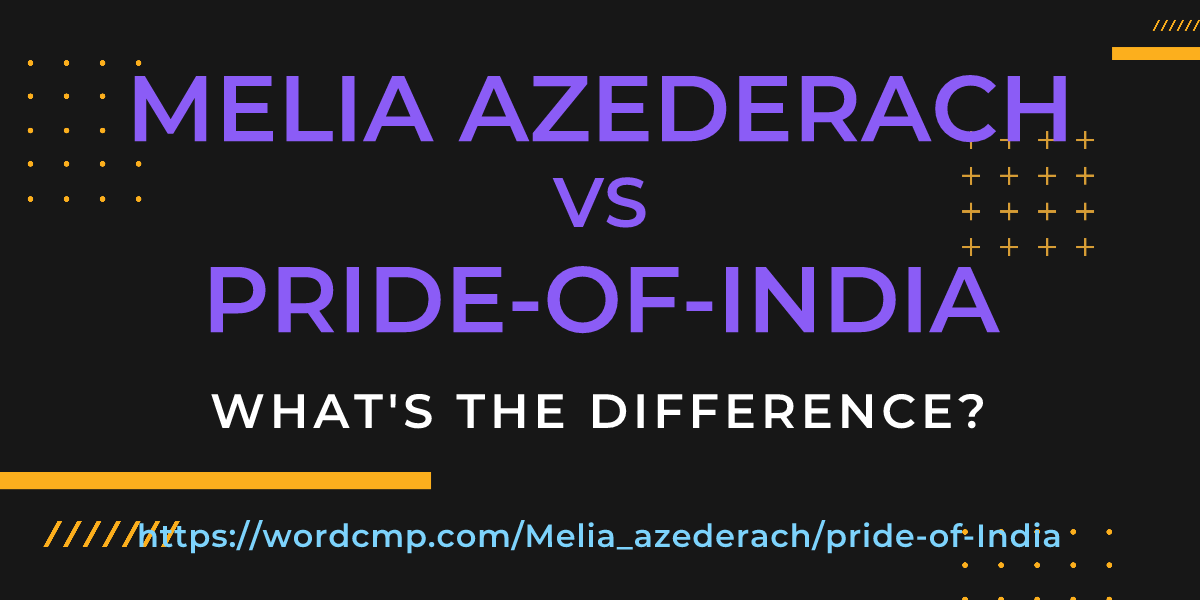 Difference between Melia azederach and pride-of-India
