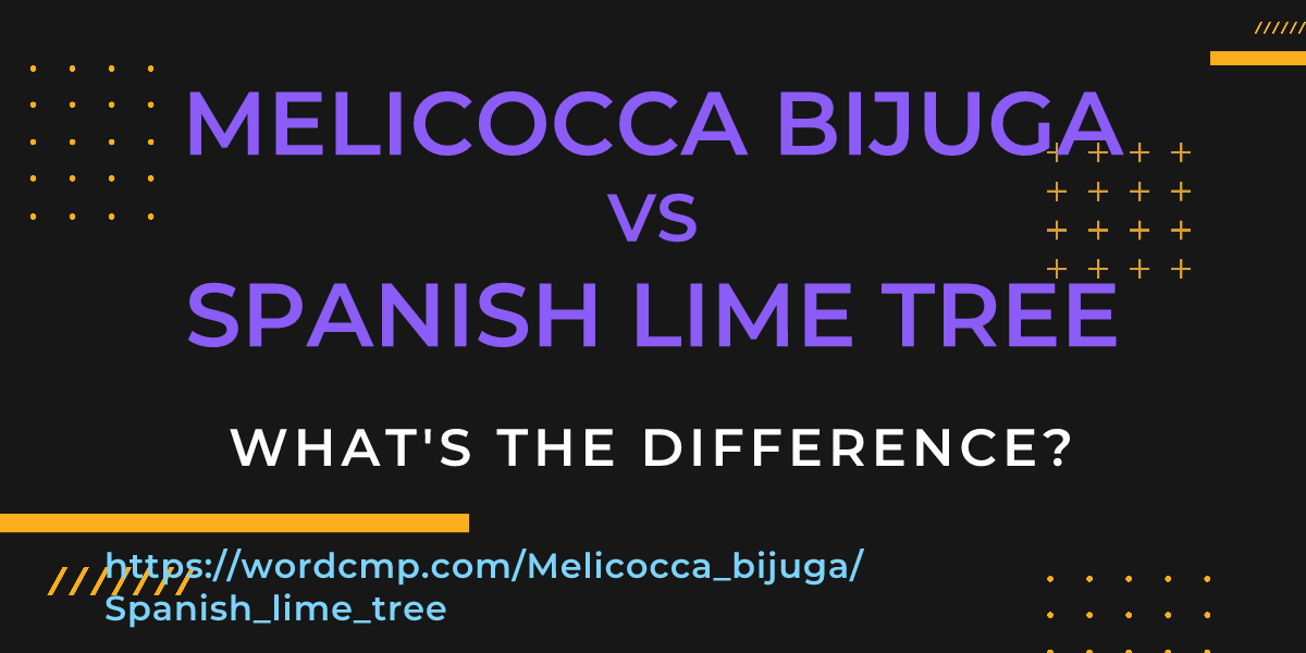 Difference between Melicocca bijuga and Spanish lime tree