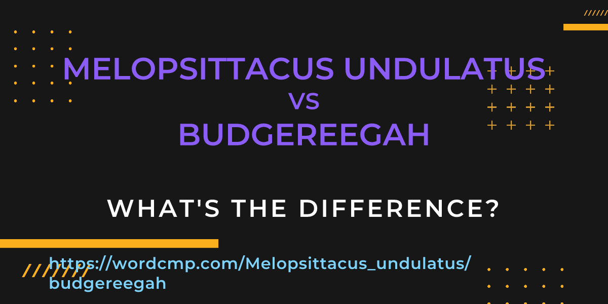 Difference between Melopsittacus undulatus and budgereegah