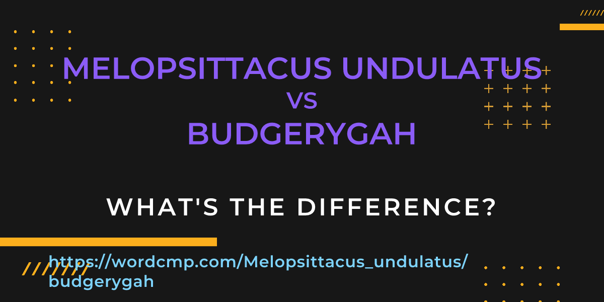 Difference between Melopsittacus undulatus and budgerygah