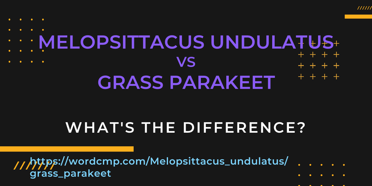 Difference between Melopsittacus undulatus and grass parakeet