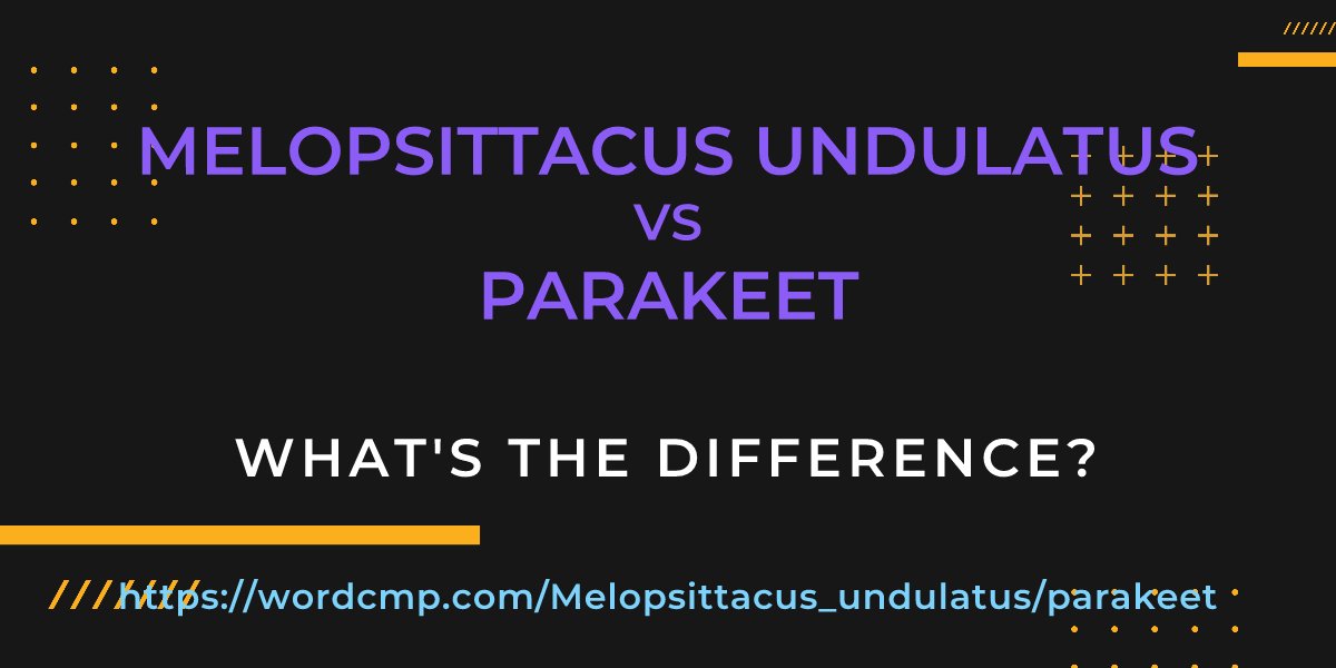 Difference between Melopsittacus undulatus and parakeet