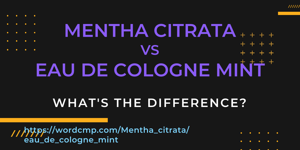 Difference between Mentha citrata and eau de cologne mint