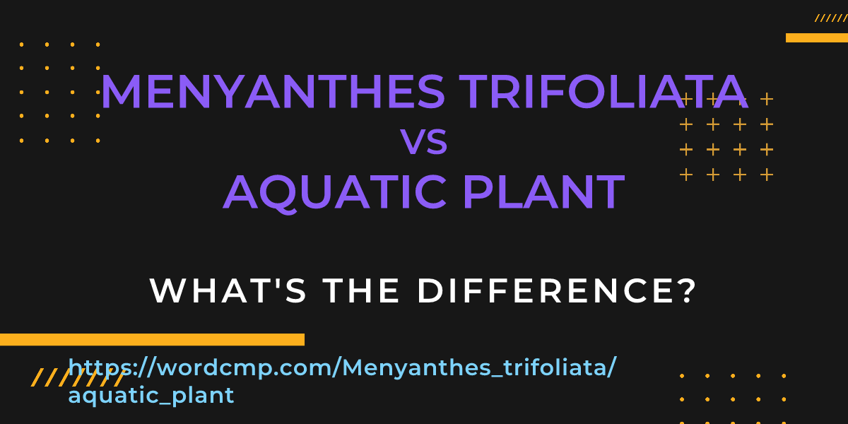 Difference between Menyanthes trifoliata and aquatic plant