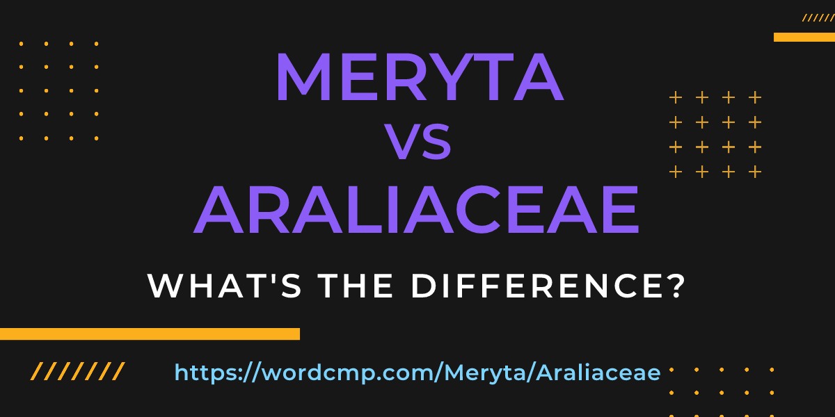 Difference between Meryta and Araliaceae