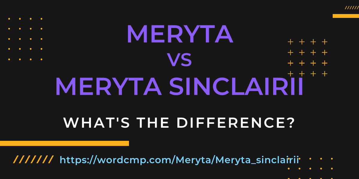 Difference between Meryta and Meryta sinclairii