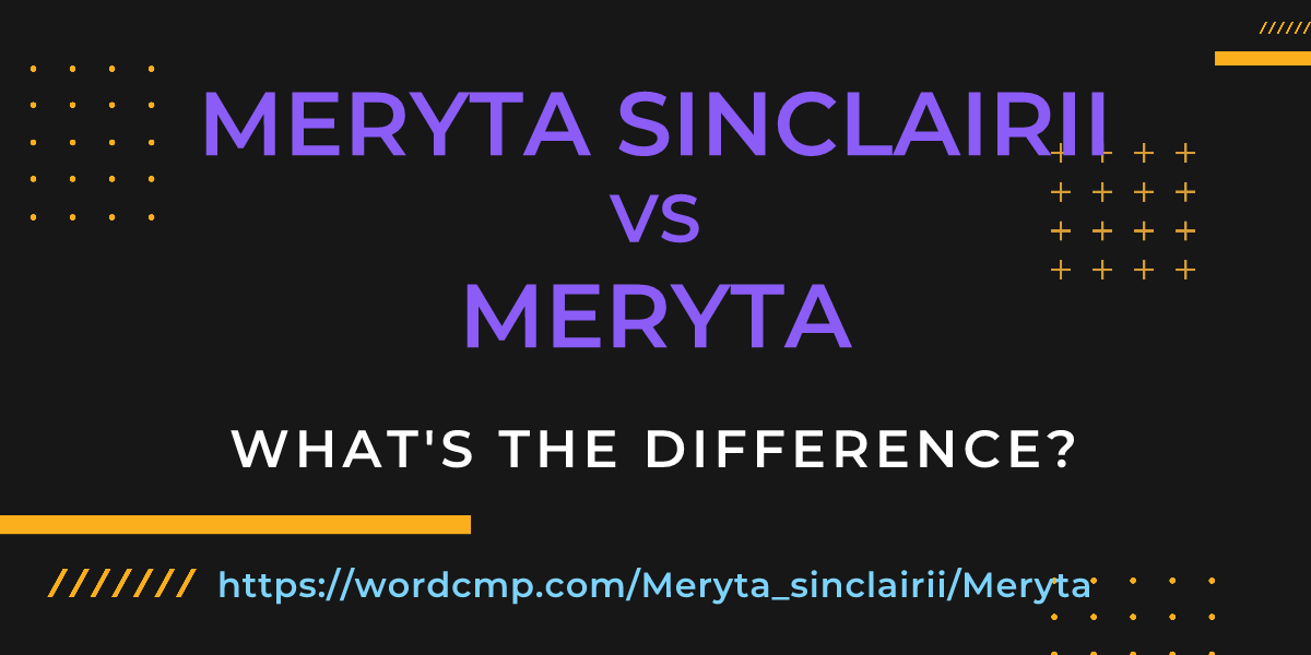 Difference between Meryta sinclairii and Meryta