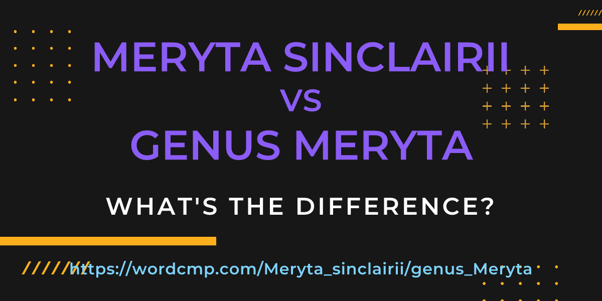 Difference between Meryta sinclairii and genus Meryta