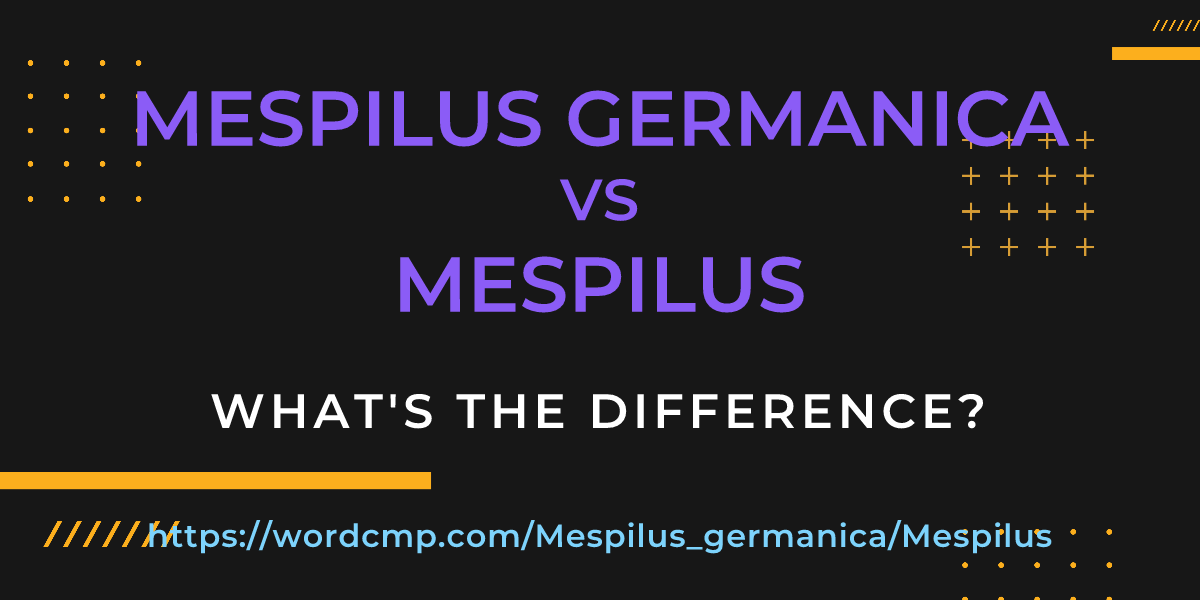 Difference between Mespilus germanica and Mespilus