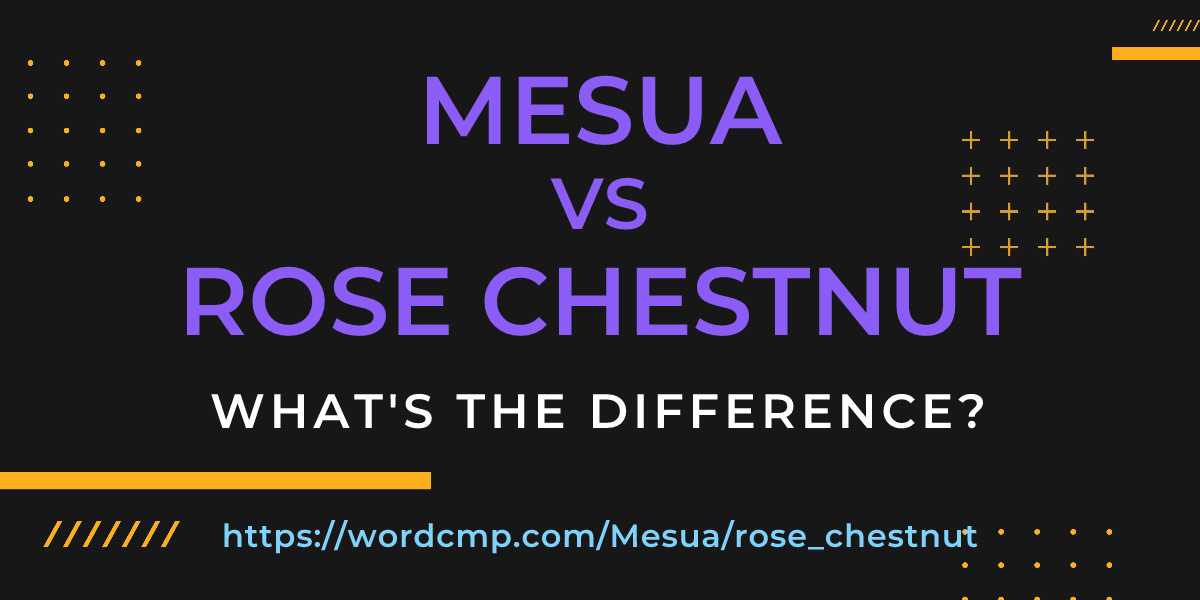 Difference between Mesua and rose chestnut