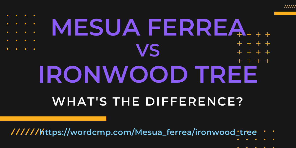 Difference between Mesua ferrea and ironwood tree