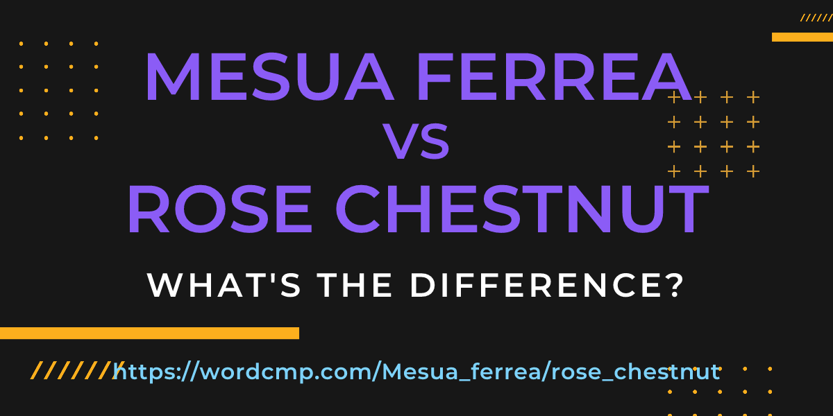 Difference between Mesua ferrea and rose chestnut