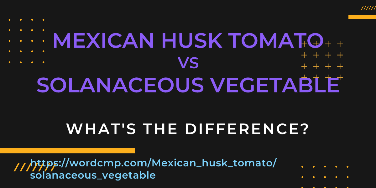 Difference between Mexican husk tomato and solanaceous vegetable