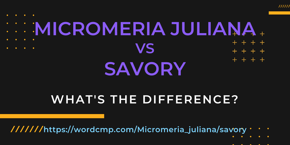 Difference between Micromeria juliana and savory