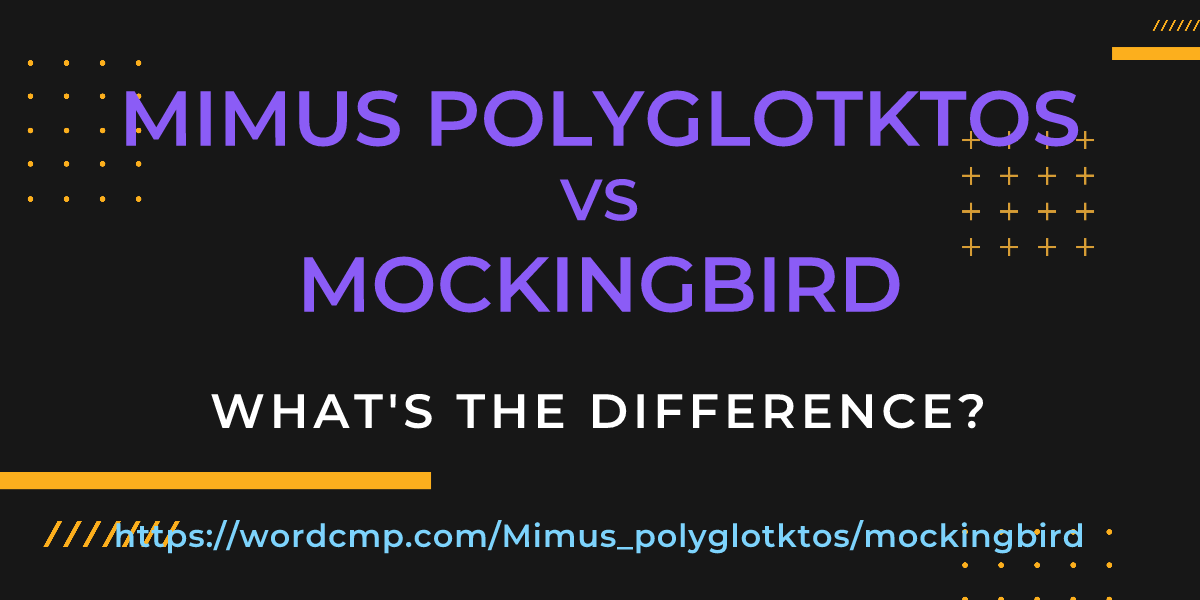Difference between Mimus polyglotktos and mockingbird