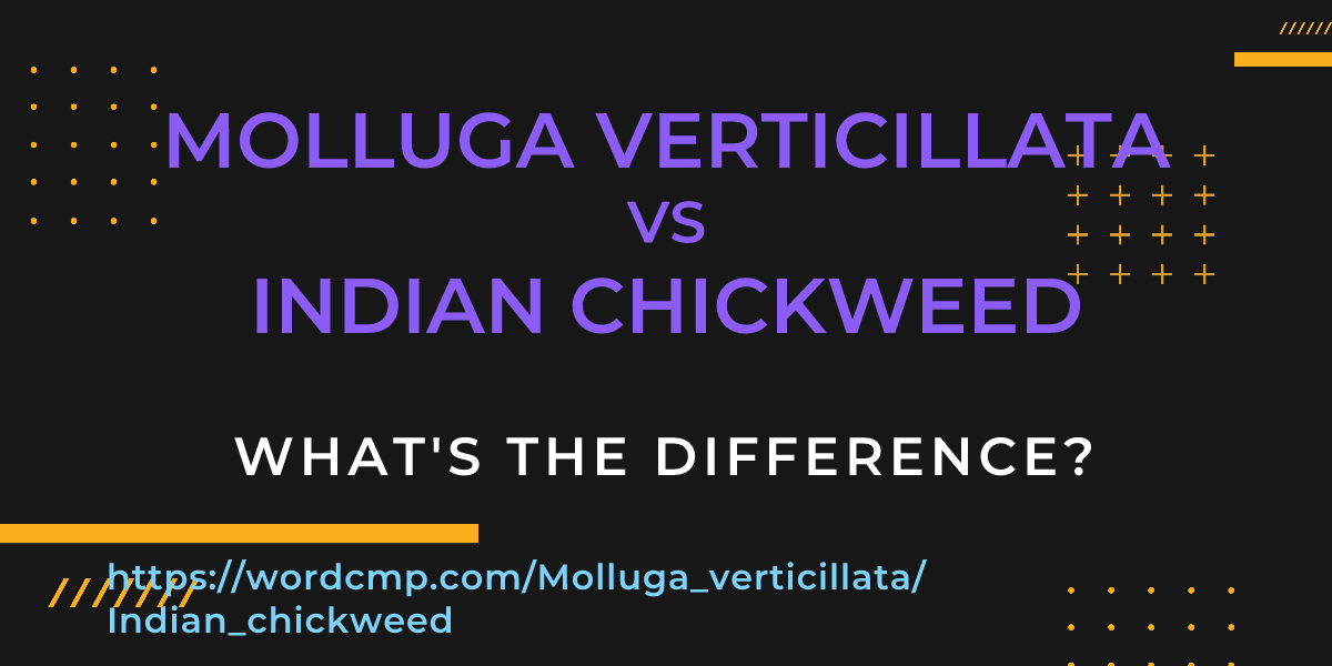 Difference between Molluga verticillata and Indian chickweed