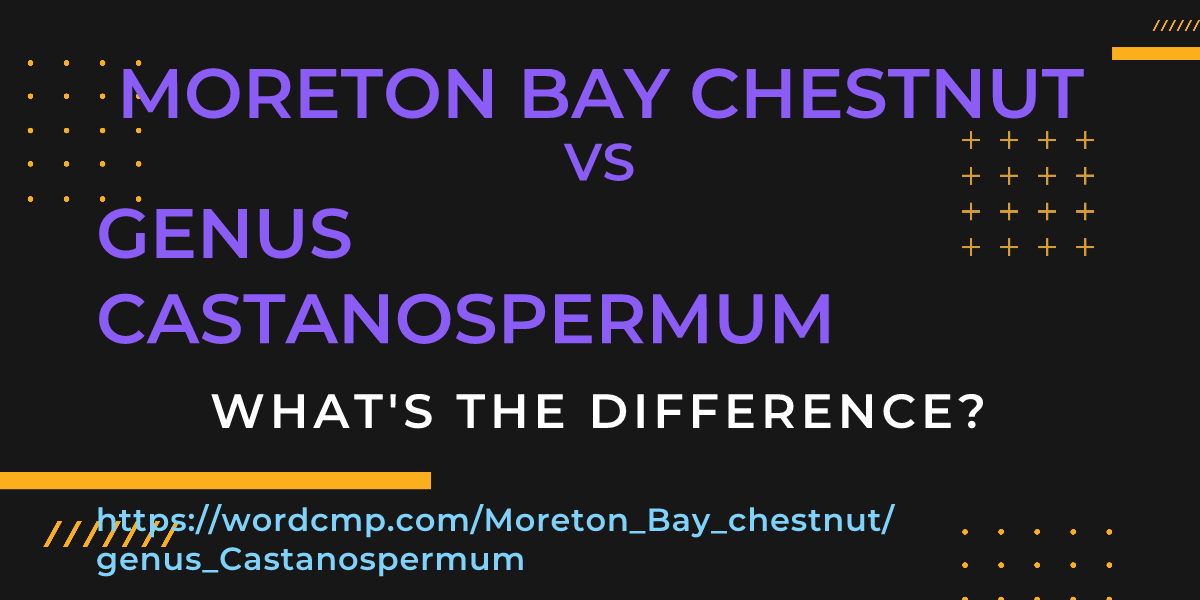Difference between Moreton Bay chestnut and genus Castanospermum