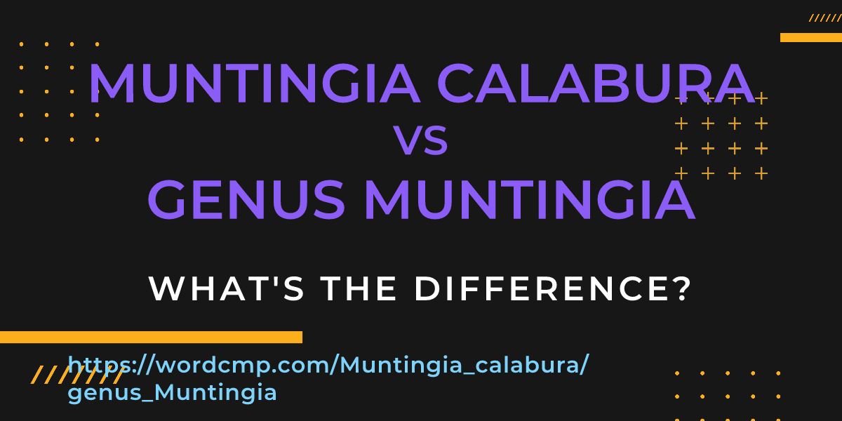 Difference between Muntingia calabura and genus Muntingia