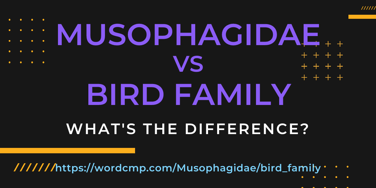 Difference between Musophagidae and bird family