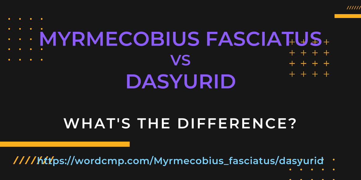 Difference between Myrmecobius fasciatus and dasyurid