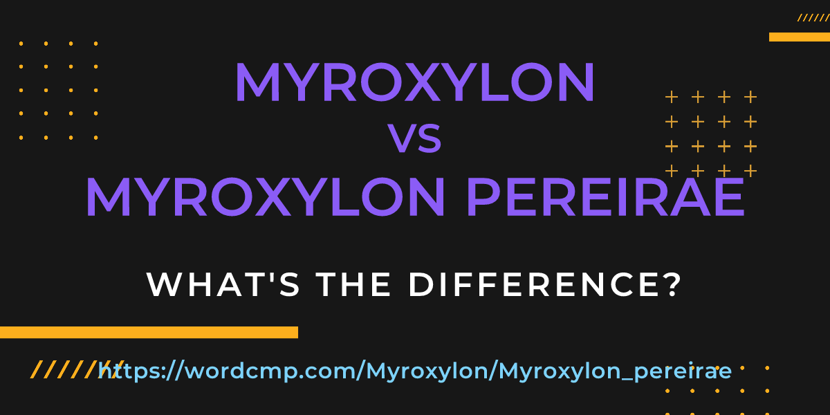 Difference between Myroxylon and Myroxylon pereirae