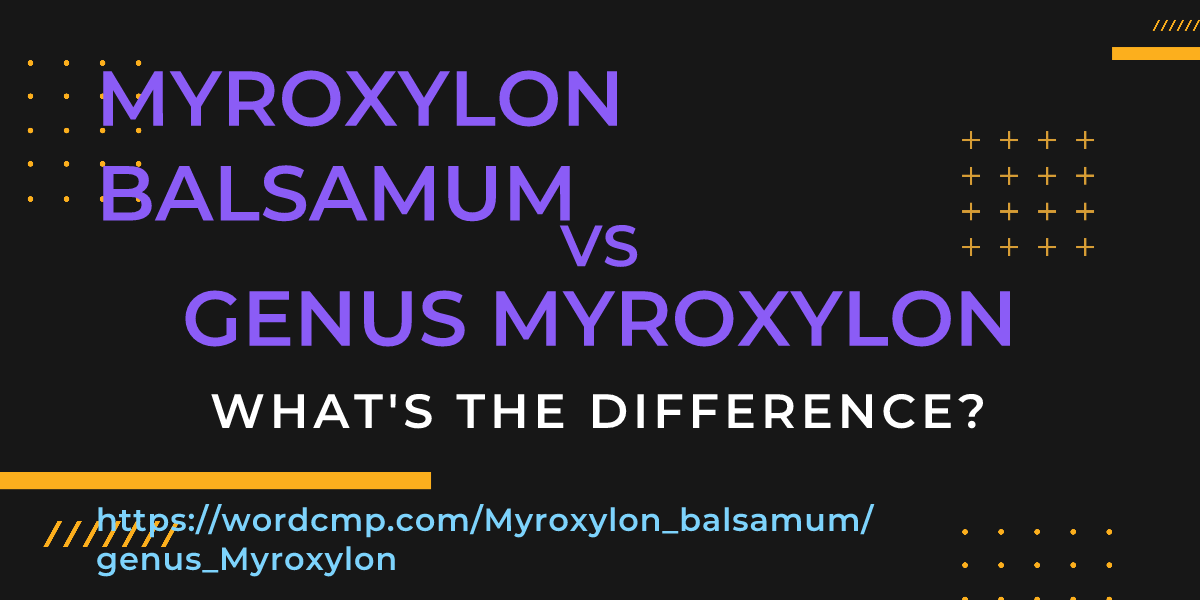 Difference between Myroxylon balsamum and genus Myroxylon