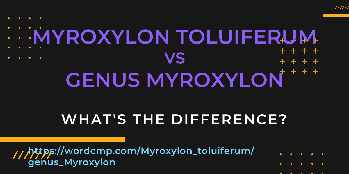 Difference between Myroxylon toluiferum and genus Myroxylon