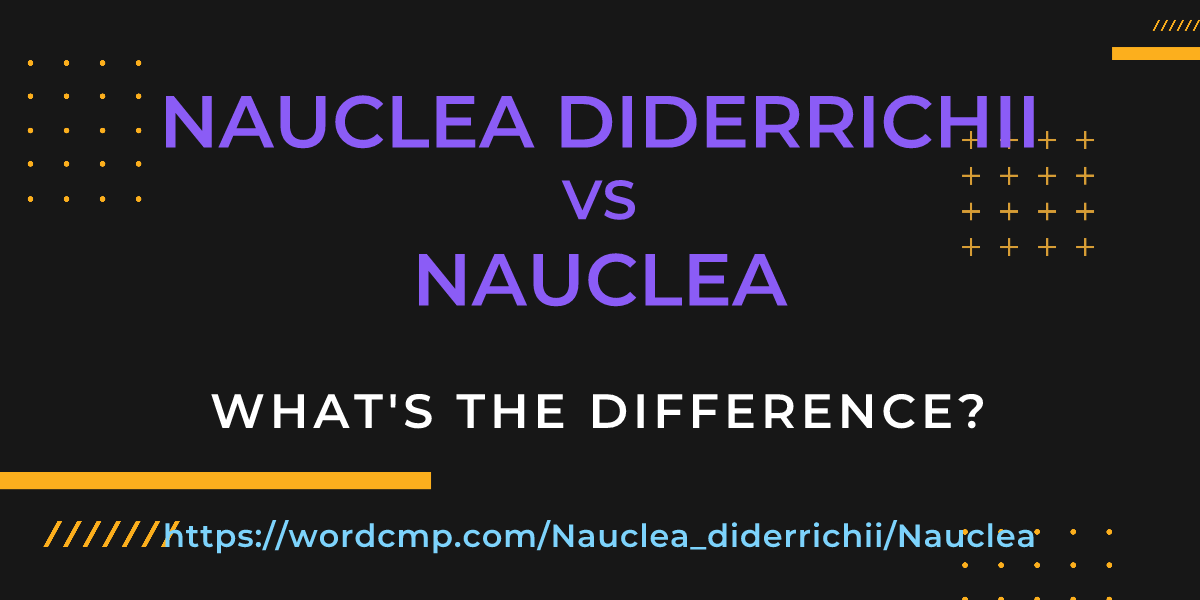 Difference between Nauclea diderrichii and Nauclea