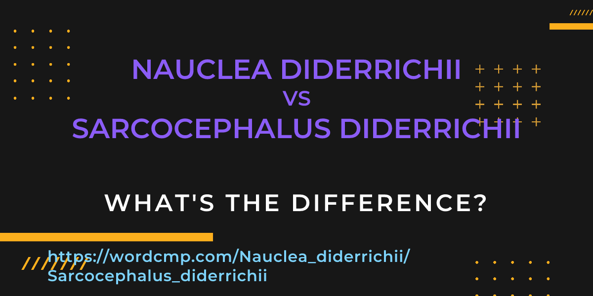 Difference between Nauclea diderrichii and Sarcocephalus diderrichii