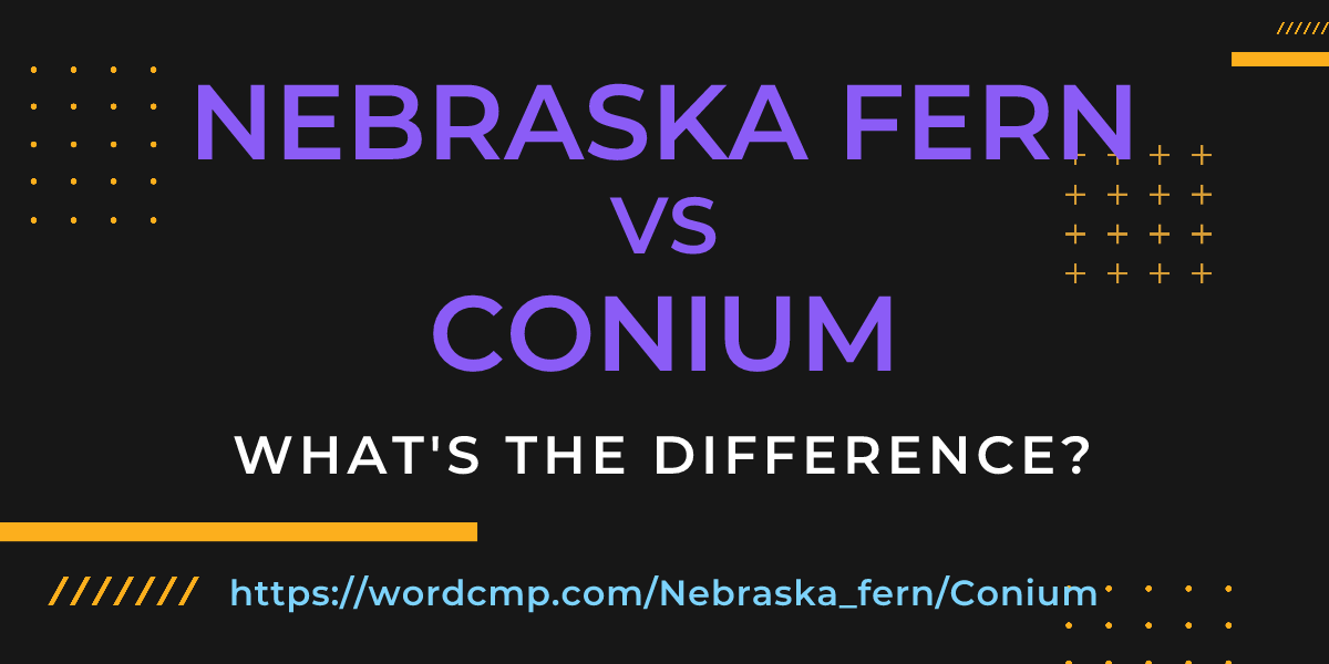 Difference between Nebraska fern and Conium