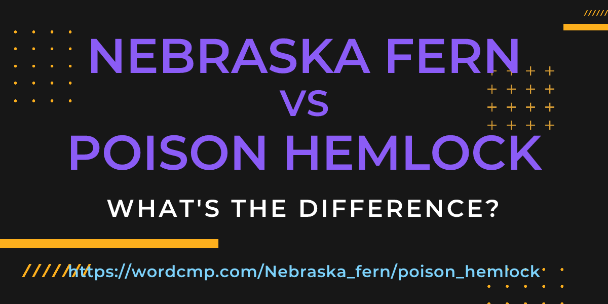 Difference between Nebraska fern and poison hemlock