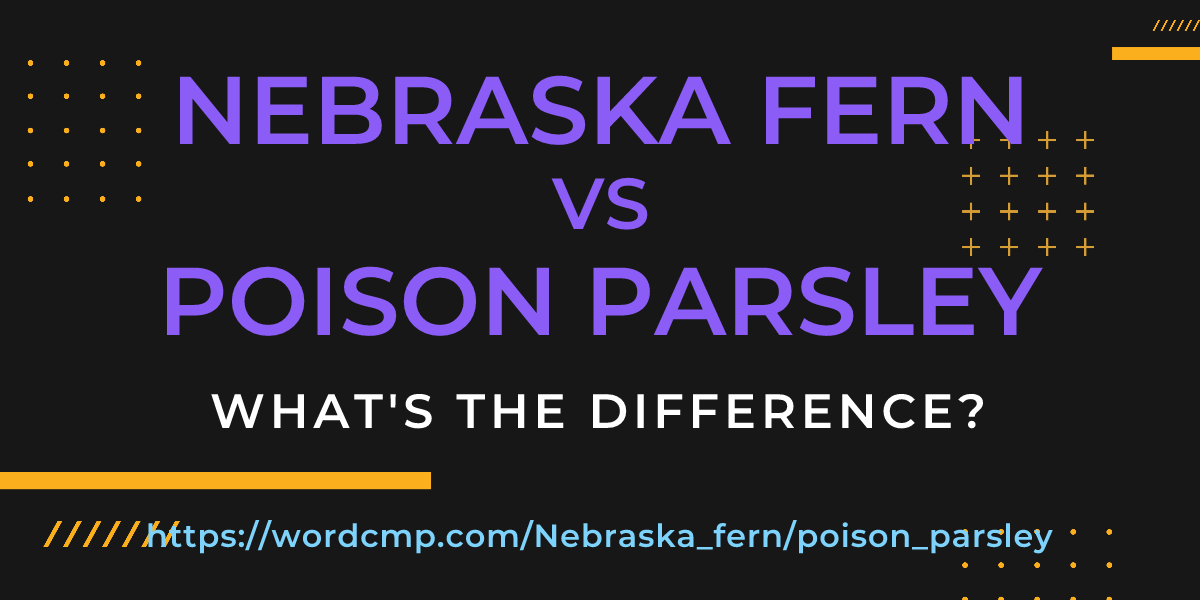 Difference between Nebraska fern and poison parsley