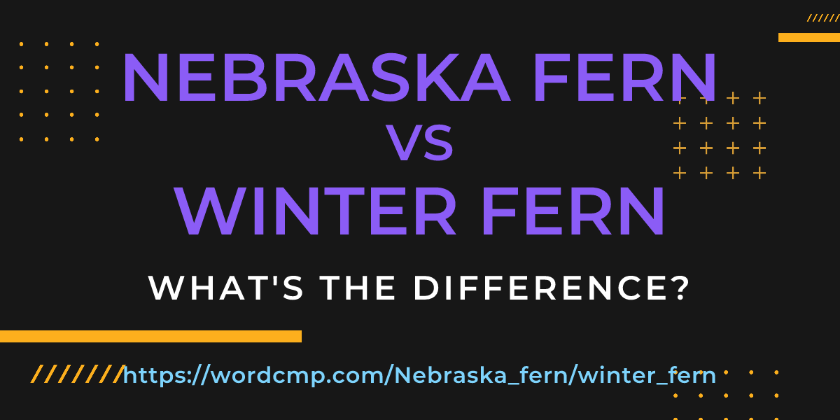 Difference between Nebraska fern and winter fern
