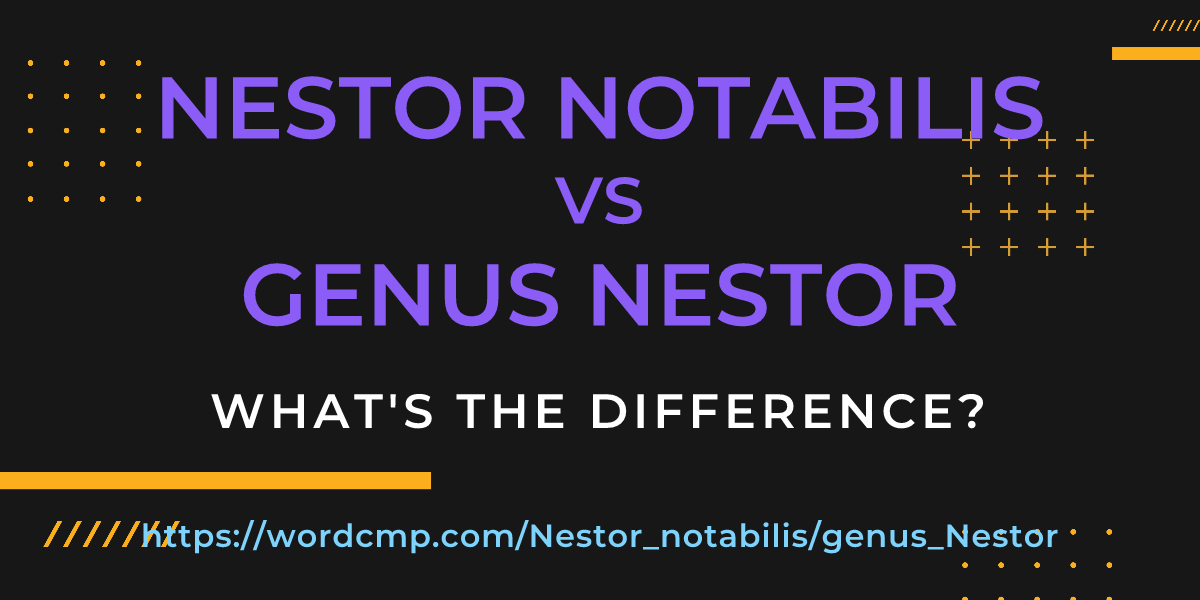 Difference between Nestor notabilis and genus Nestor
