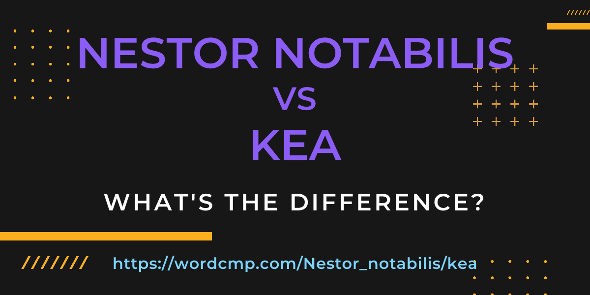 Difference between Nestor notabilis and kea