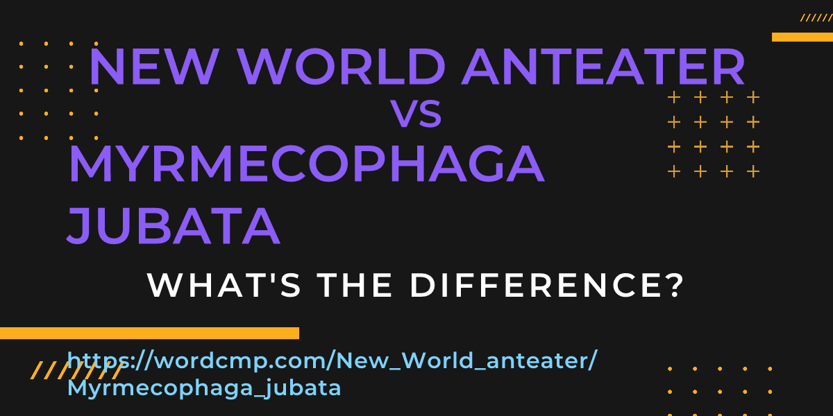 Difference between New World anteater and Myrmecophaga jubata
