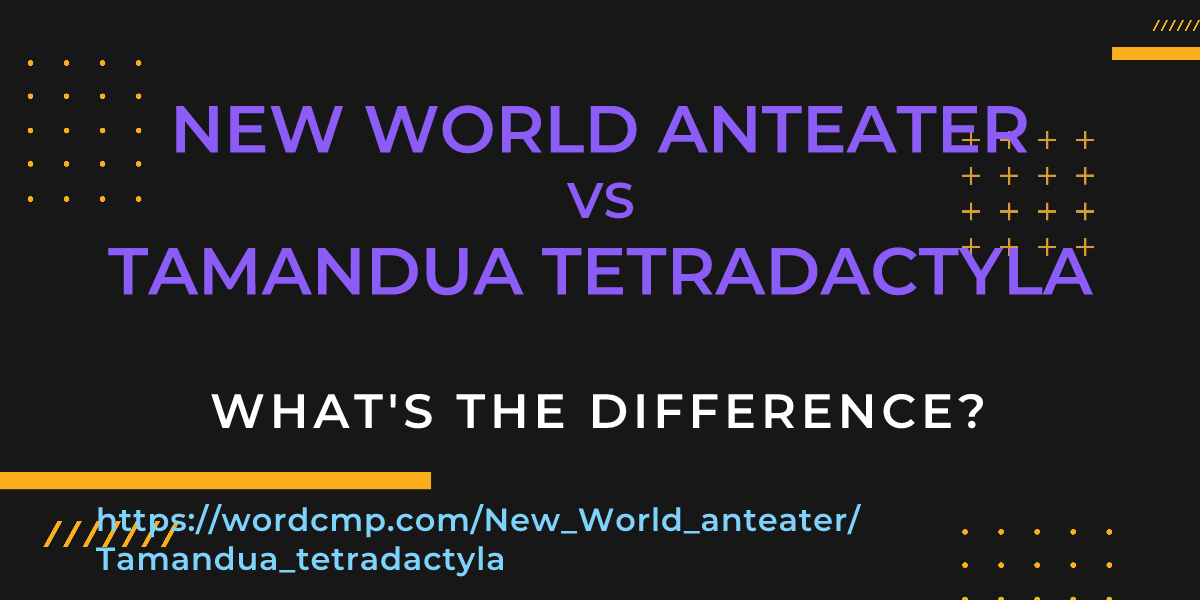 Difference between New World anteater and Tamandua tetradactyla