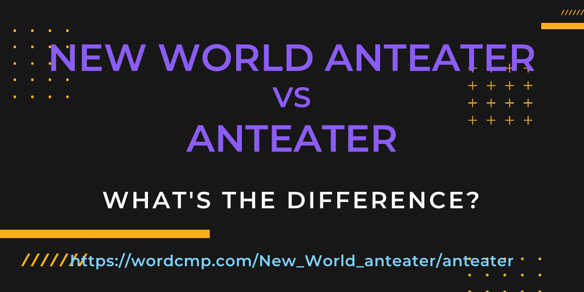 Difference between New World anteater and anteater