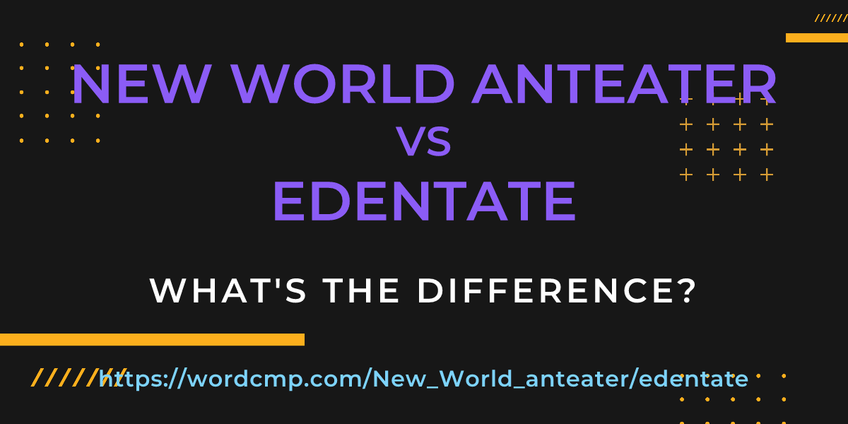 Difference between New World anteater and edentate
