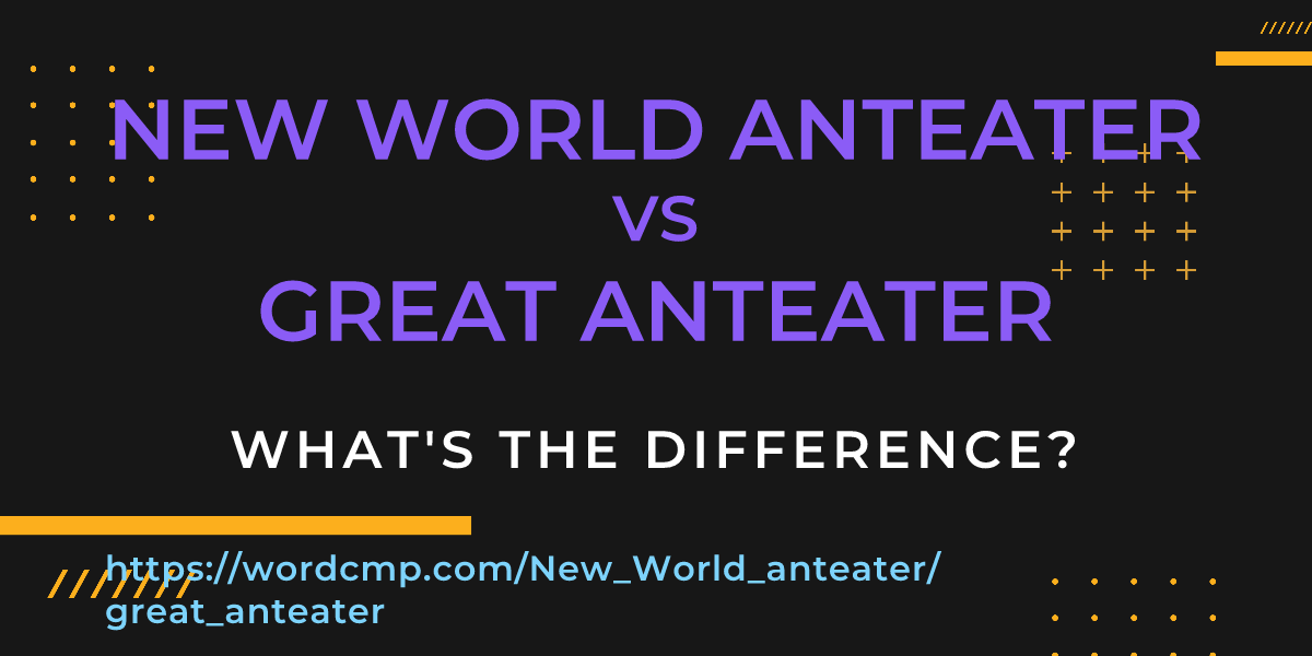 Difference between New World anteater and great anteater