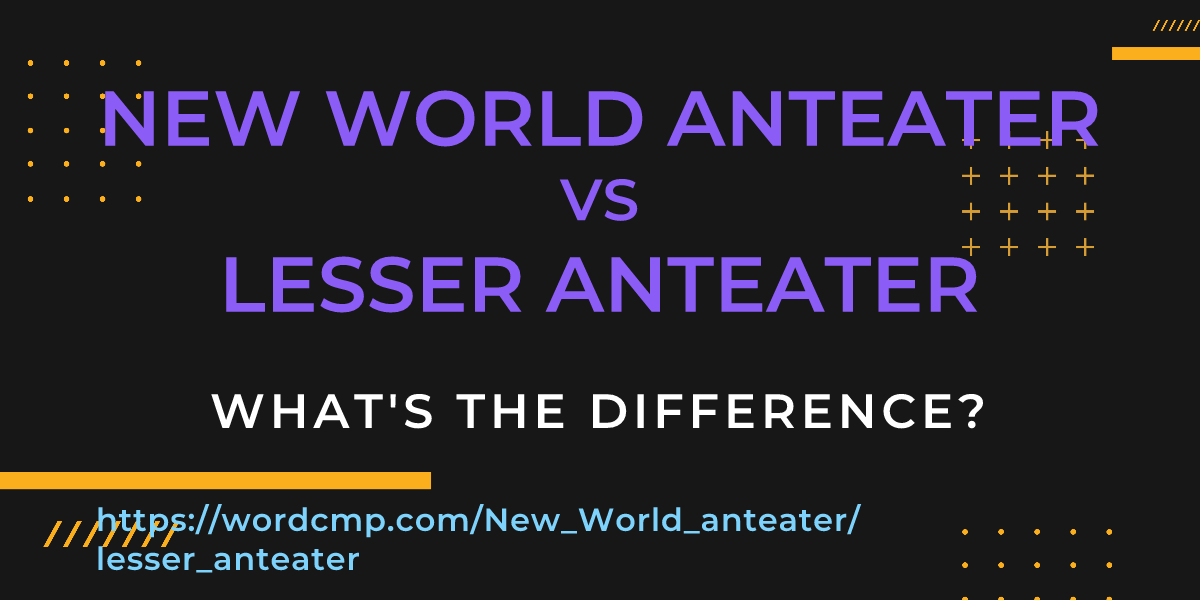 Difference between New World anteater and lesser anteater