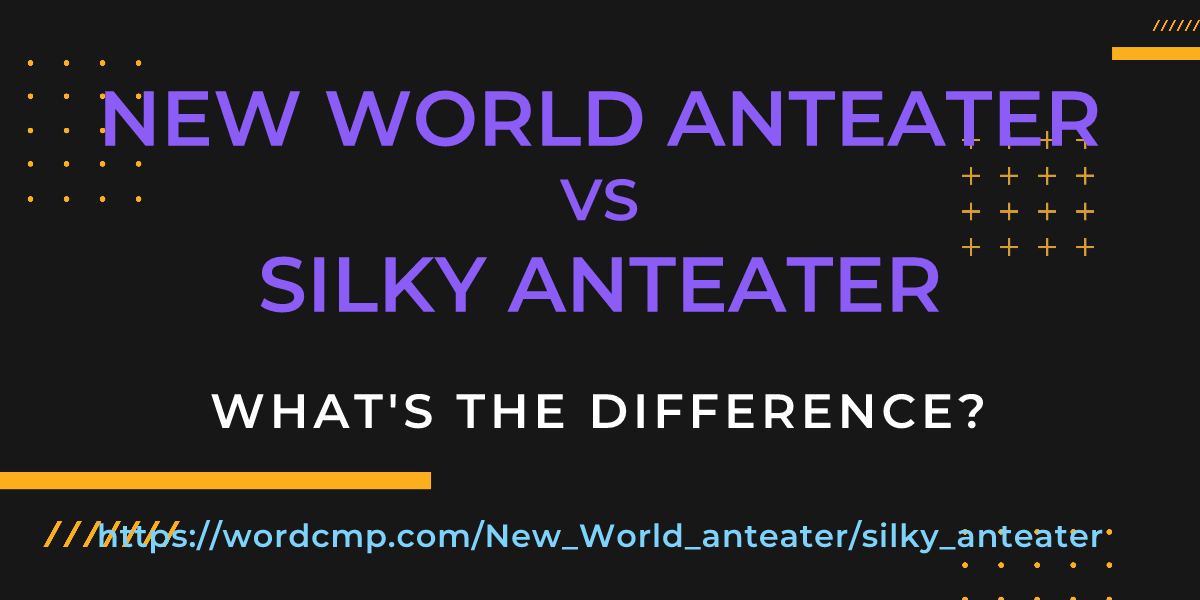 Difference between New World anteater and silky anteater