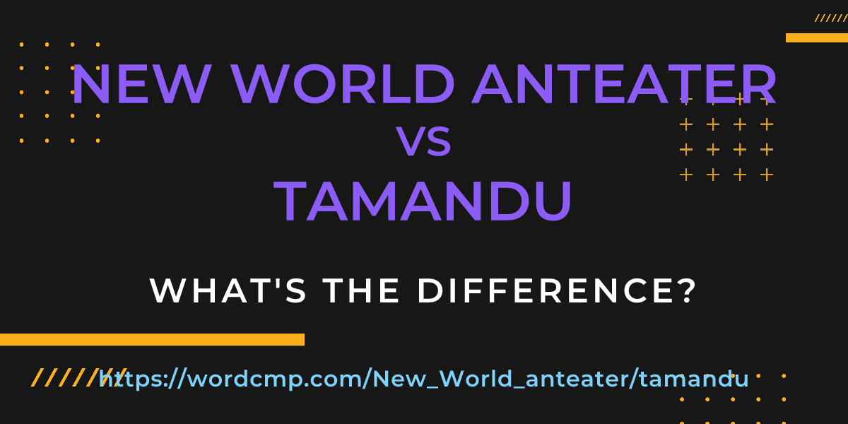 Difference between New World anteater and tamandu