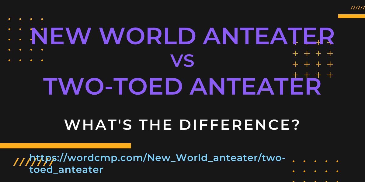 Difference between New World anteater and two-toed anteater